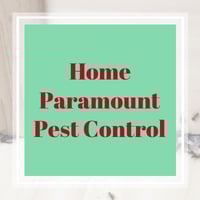 10 Best Pest Control Services In Virginia Beach Va Exterminators
