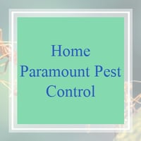 11 Best Pest Control Companies In Chesterfield Va Exterminators