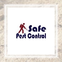 Answers To Your Bed Bug Id Prevention And Extermination Questions Bed Bugs Treatment Bed Bugs Bed Bugs Infestation