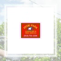 10 Best Tree Care Services In Cincinnati Oh Tree Trimming