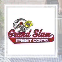 10 Best Pest Control Services In Covington Ga Exterminators