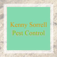 10 Best Pest Control Services In Middletown Oh Exterminators