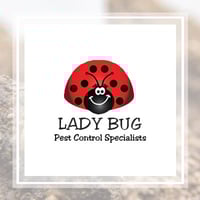 Signature Pest Control 16 Photos Pest Control 4443 W Walker St Wichita Ks Phone Number Yelp