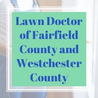 11 Best Pest Control Companies in Stamford, CT | Exterminators