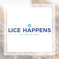 10 Best Pest Control Services in Atlanta, GA | Exterminators