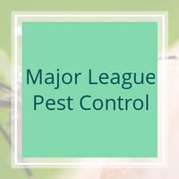 11 Best Pest Control Companies in Escondido, CA ...