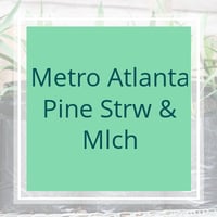 Alpharetta Ga Landscaping From 29 1 Landscapers Best Of 2020