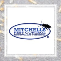 10 Best Pest Control Services In Richmond Va Exterminators