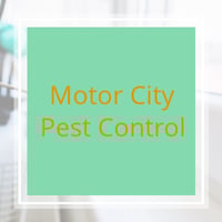 11 Best Pest Control Companies In Detroit Mi Exterminators