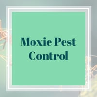 6 Best Pest Control Services In Irving Tx 2020 Exterminators