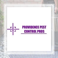 10 Best Pest Control Services In Raleigh Nc Exterminators