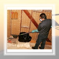 26 Best Pest Control Services in Los Angeles, CA ...