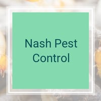 15 Best Pest Control Services In Reno Nv Exterminators
