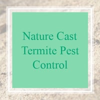 10 Best Pest Control Services In Holiday Fl Exterminators
