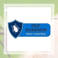 10 Best Pest Control Services In Virginia Beach Va Exterminators