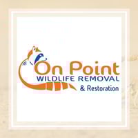 11 Best Pest Control Companies In Palm Bay Fl Exterminators