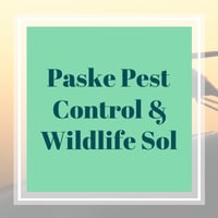 21 Best Pest Control Services In Saint Louis Mo Exterminators