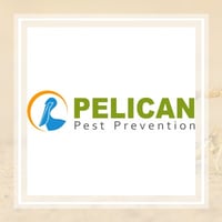 17 Best Pest Control Services in Lakeland, FL | Exterminators