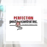 11 Best Pest Control Companies in Corpus Christi, TX ...