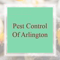 6 Best Pest Control Services in Arlington, TX 2020 ...