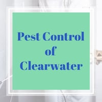 10 Best Pest Control Services In Clearwater Fl Exterminators