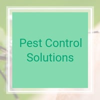 10 Best Pest Control Services in Lithonia, GA | Exterminators