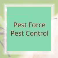 Pest Control Exterminators Bed Bugs Roaches