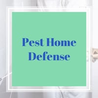 7 Best Pest Control Companies in Florence, AZ