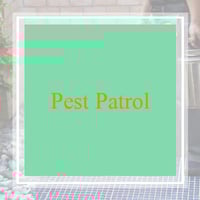 16 Best Pest Control Services In Memphis Tn Exterminators