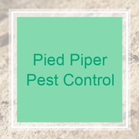 11 Best Pest Control Companies in Cordova, TN | Exterminators