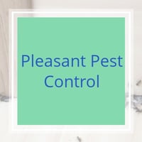 10 Best Pest Control Services In Henrico Va Exterminators