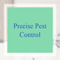 10 Best Pest Control Services In Raleigh Nc Exterminators
