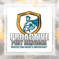 10 Best Pest Control Services in Garland, TX | Exterminators