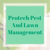 20 Best Pest Control Services in El Paso, TX | Exterminators