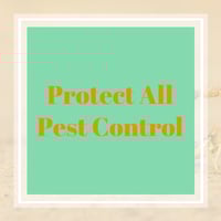 10 Best Pest Control Services In Acworth Ga Exterminators