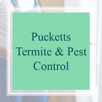 11 Best Pest Control Companies in Decatur, AL | Exterminators