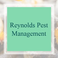 16 Best Pest Control Services In Port Saint Lucie Fl Exterminators