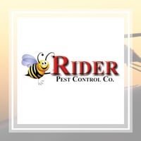 10 Best Pest Control Services In Newnan Ga Exterminators