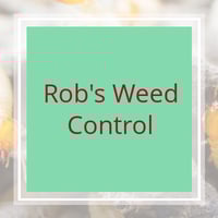 11 Best Pest Control Companies in Victorville, CA ...