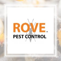 10 Best Pest Control Services In Minneapolis Mn Exterminators
