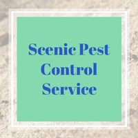 16 Best Pest Control Services In Port Saint Lucie Fl Exterminators