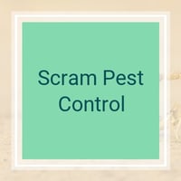 11 Best Pest Control Companies In Locust Grove Ga Exterminators