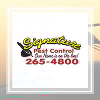 11 Best Pest Control Companies In Wichita Ks Exterminators