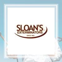 16 Best Pest Control Services in Ventura, CA | Exterminators