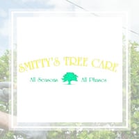 10 Best Tree Care Services in Roswell, GA | Tree Trimming