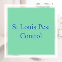 21 Best Pest Control Services In Saint Louis Mo Exterminators