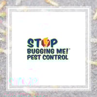 11 Best Pest Control Companies in Seattle, WA | Exterminators