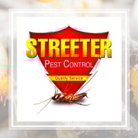 11 Best Pest Control Companies In Hialeah Fl Exterminators