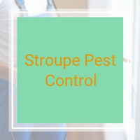 16 Best Pest Control Services In Memphis Tn Exterminators