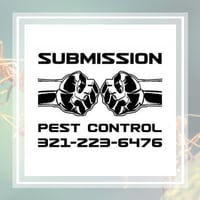 Pest Control Ubud 085936119713 Termite Control Pest Control Termites